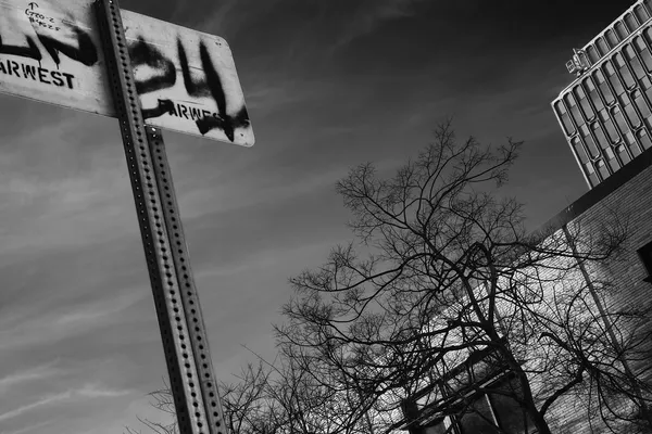 Graffiti-tagged street signs stand against a brooding sky, bare trees and weathered buildings completing a raw urban tableau in Berkeley