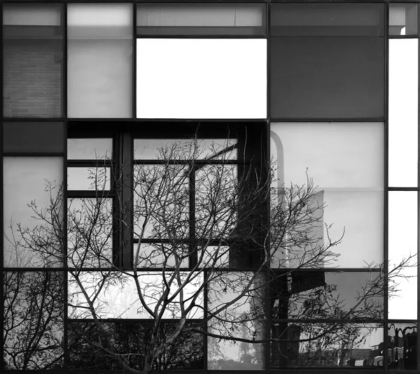 A glass building facade in Berkeley reflects bare winter trees and sky, its geometric grid of panels composing a Mondrian-like urban puzzle
